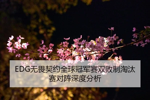 EDG无畏契约全球冠军赛双败制淘汰赛对阵深度分析
